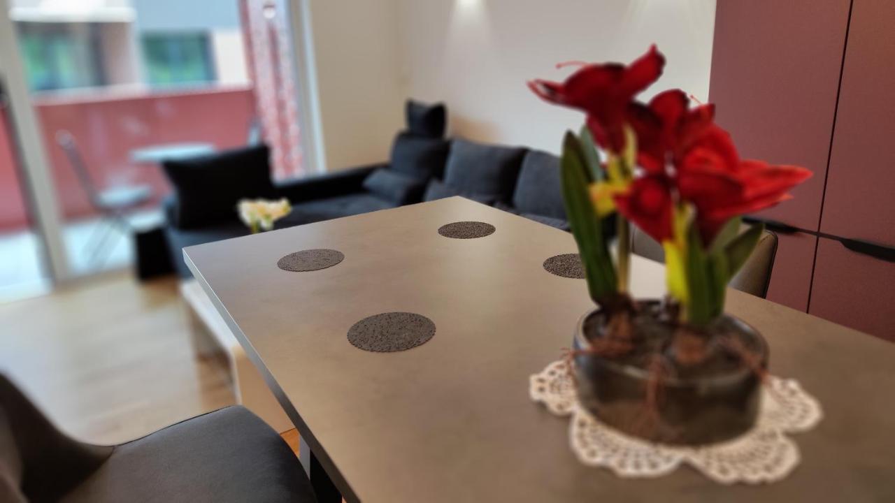 Apartment Ozare Slovenj Gradec Exterior photo